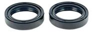 Retentor Bengala Garfo Shineray Xy 50 Xy50 25 X 35 X 10