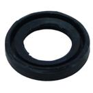 Retentor Chiaperini Mc6Bpv (19 X 12 X 3)