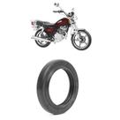 Retentor Pinhão Suzuki Intruder 125