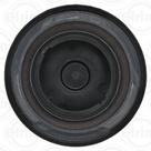 RETENTOR POLIA para MASTER 2.3 16V 12/...