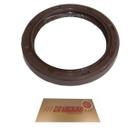 Retentor Virabrequim Polia Kicks March Versa Captur Duster Kwid Logan Oroch Sandero 05965