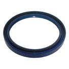 Retentor Virabrequim Traseiro MWM Ford Volks 03873132S