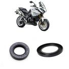 Retentores Roda Traseira Triumph Tiger 1050 Retentores Roda Traseira Triumph Tiger 1050