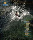 Revista coyote 26