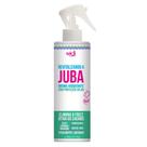 Revitalizando a Juba Bruma Hidratante 300ml