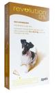 Revolution 12% Antipulgas Cães 5,1Kg a 10Kg - Zoetis