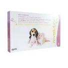 Revolution Cães E Gatos Filhotes Até 2,5 Kg 3 Pipetas