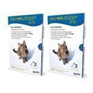 Revolution Para Gatos De 2,6kg A 7,5 Kg C/ 6 Pipetas Zoetis