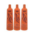 Richée Argan e Ojon Escova Progressiva (3 x 1 Litro)