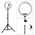 Ring Light 10 Polegadas com Tripé e Suporte para Celular