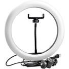 Ring Light 12 Polegadas com Suporte LED Luz Foto Vídeo