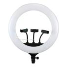 Ring Light 18" Tomate MLG-089 - Iluminador Profissional