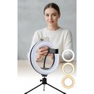 Ring Light 20cm c/ Tripé Mesa USB 3 Tons Ajustáveis