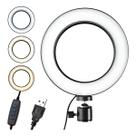 Ring Light 8 Polegadas com Suporte LED Luz Foto Vídeo Ring Light 8 Polegadas com Suporte LED Luz Foto Vídeo