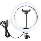 Ring Light Aro 10 Polegadas com Suporte LED Luz Foto Vídeo