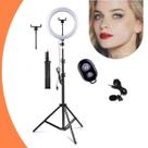 Ring Light Barato Com Tripe Regulavel Articulado Com Suporte