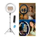 Ring Light Bicolor LED 45cm TPFoto com Tripé 1,90m e Controle Obturador Bluetooth
