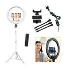 Ring Light Grande 18 polegadas Bicolor LED 45cm Tpfoto RL18