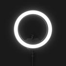 Ring Light