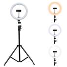 Ring Light Iluminador Led 10 Polegada 26cm + Tripé 1,10m Profissional Blogueira Youtube