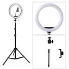 Ring Light iluminador Led 26cm 10 polegadas com tripe 2,10m