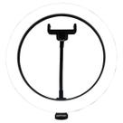 Ring LIGHT KIT Completo com Tripe de 2MT OEX RL10 Ring LIGHT KIT Completo com Tripe de 2MT OEX RL10