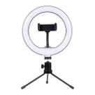 Ring Light Lampada Luz Led Iluminador Anel 16Cm 6 Pol Tripé