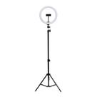 Ring Light Led 10 Polegadas 26cm Com Trípe De 2,10 Metros