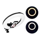 Ring Light LED 48cm 3200-6500k com Suporte para Celular