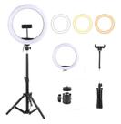 Ring Light Led Iluminador 10 Pol Led 3500/5500k Tripé2m