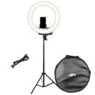 Ring Light LED Iluminador 48cm AFI - R219 + Tripé 2m