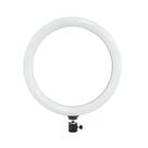 Ring Light Led Iluminador Luz Portátil 14' Polegadas Sem Tripé Bivolt