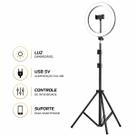 Ring Light LED Premium Com Tripé Reforçado Para Gravações