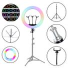 Ring Light LED RGB 45cm com Suporte de Celular e Tripé de luz de Estúdio 1,60m