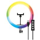 Ring Light RGB 12'' LED c/ cabeça giratória OR-PL12R