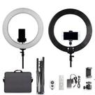Ring Light Tomate Led 48cm 18 Polegadas 80w MLG-048