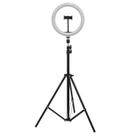 Ring Light Tripé 2 metros Led Spectrum SP-26