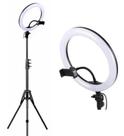 Ring Light