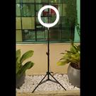 Ring ligth 12 polegadas