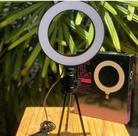 Ring Ligth