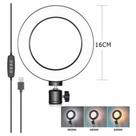 Ring Ligth Iluminador Anel Luz 6 Polegadas