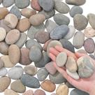 River Rocks Fahaxiki de 5 libras de seixos decorativos naturais de 1-2"