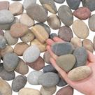 River Rocks Fahaxiki Pedras decorativas naturais de 2,5-3" 2,3 kg