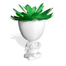 Robert Plant (Bob) Fotografo - Vaso Decorativo