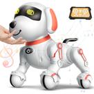 Robot Dog Dolanus para crianças de 8 a 12 anos com controle remoto