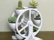 Roda gigante de flo