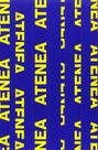 Roger Grasas. Atenea - RM Verlag