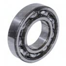 Rolamento 6004