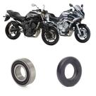 Rolamento Bomba Da Agua YAMAHA FZ6 Kit