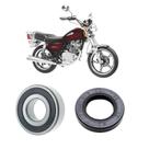 Rolamento e Retentor Flange Coroa Suzuki Intruder 125